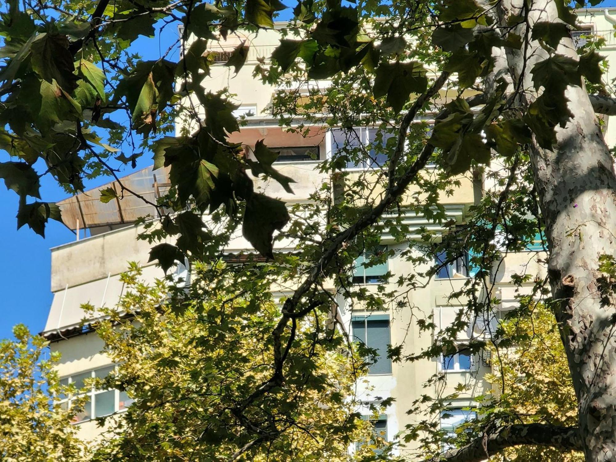 Panoramic *