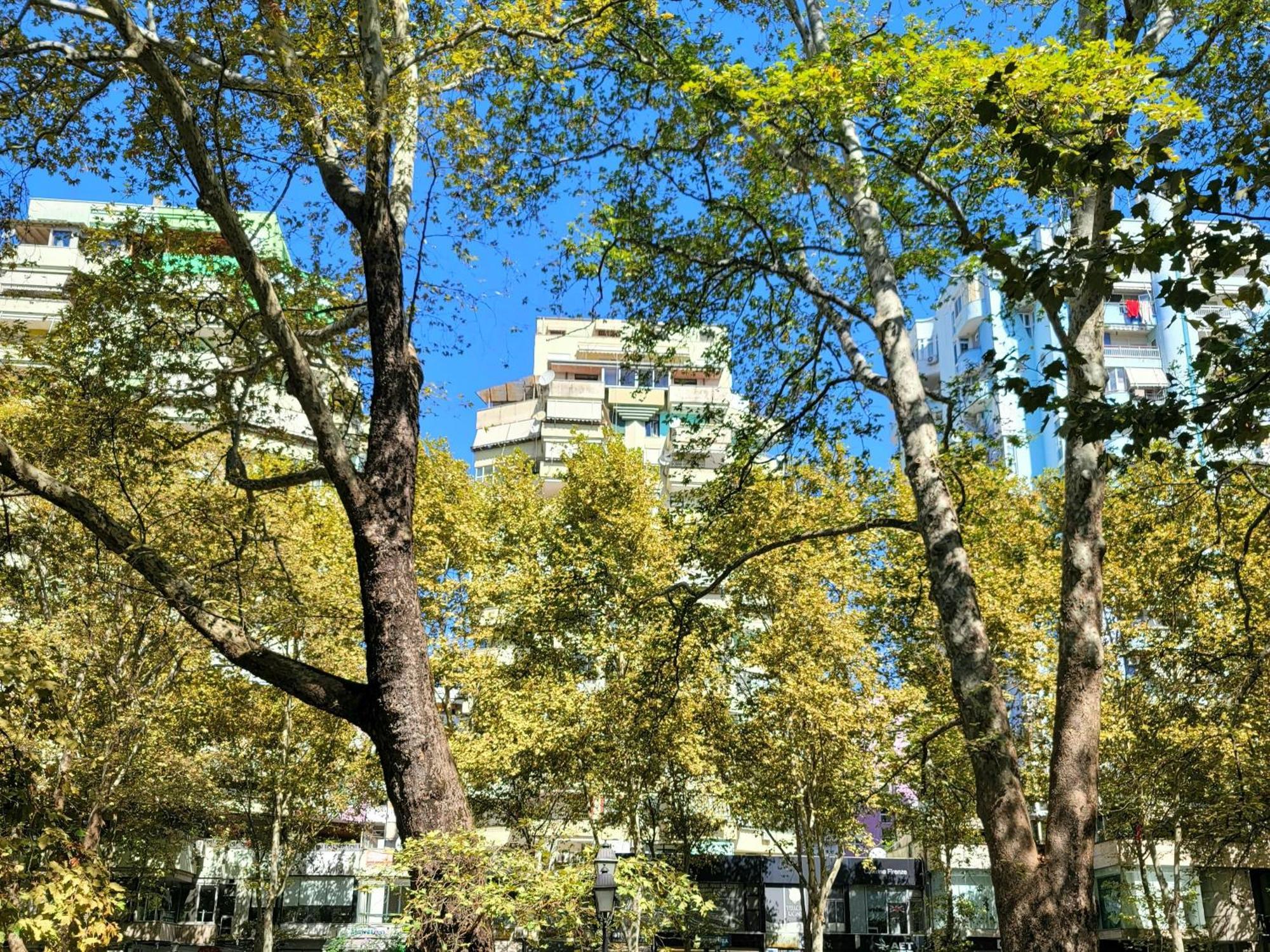 Panoramic * Tirana
